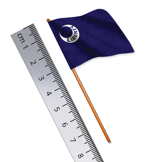 Moultrie Flag (American War of Independence)