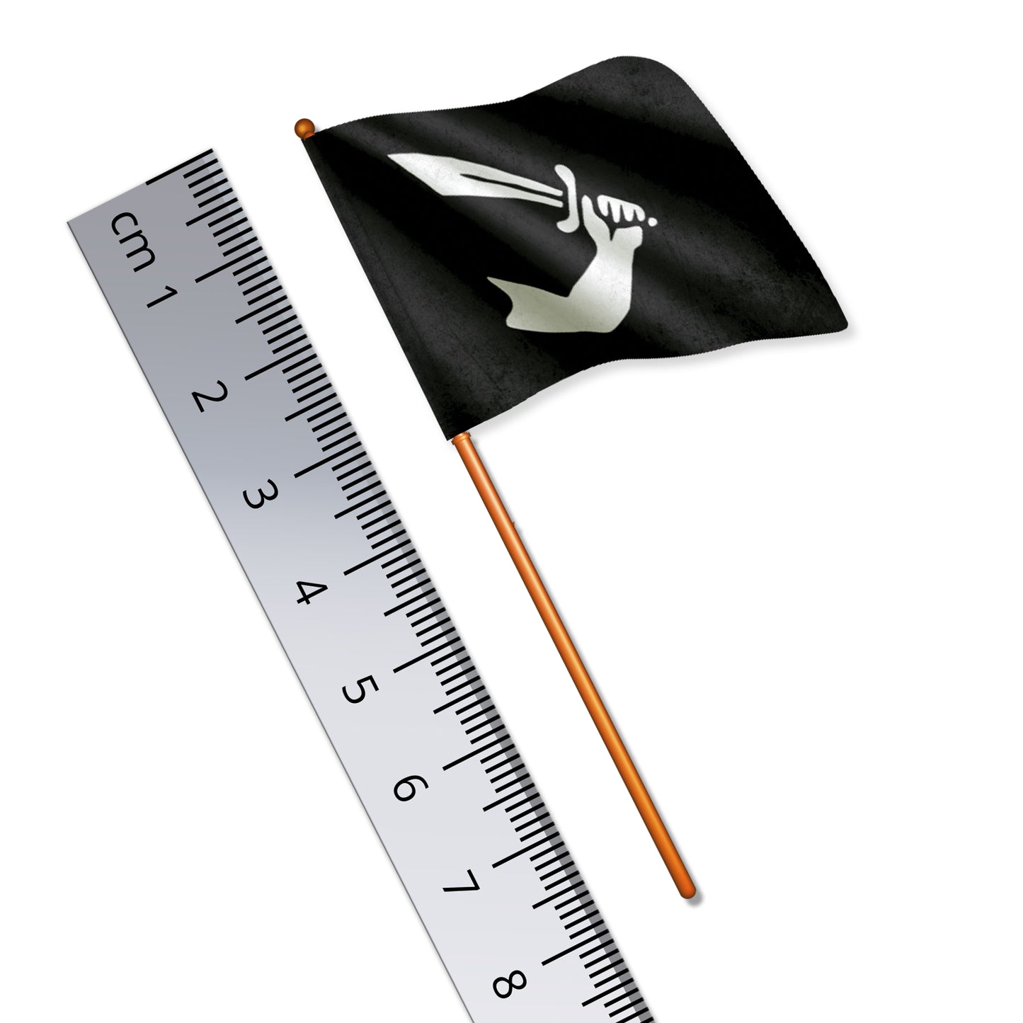 Pirate Flag (Thomas Tew)