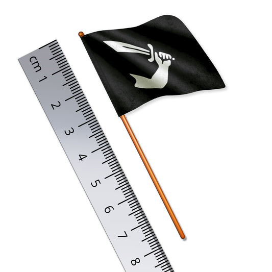 Pirate Flag (Thomas Tew)