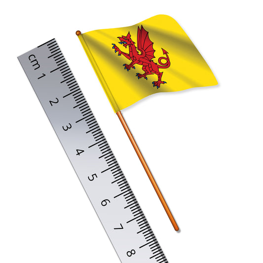 Somerset County Flag