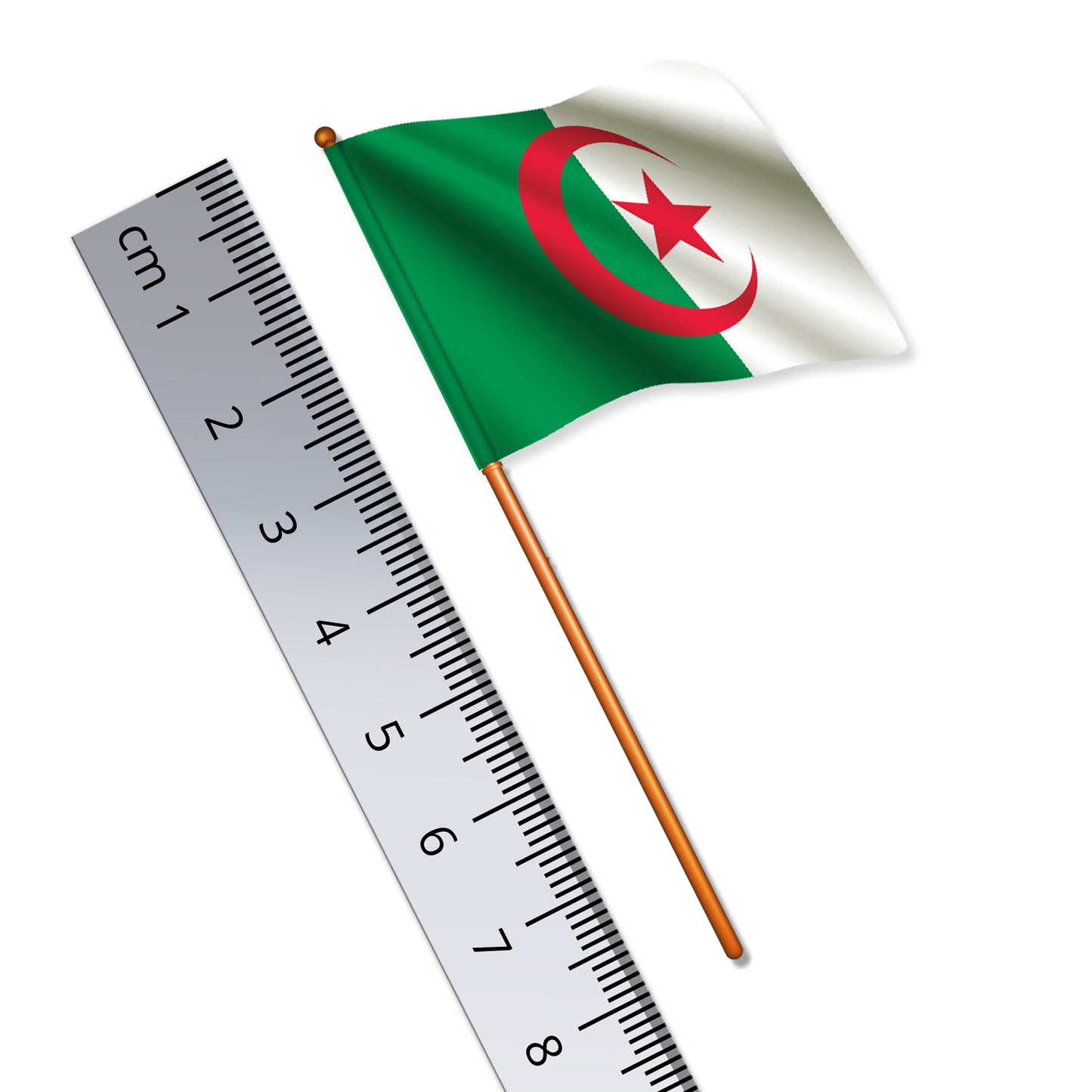 Algerian Flag (National Flag of Algeria)