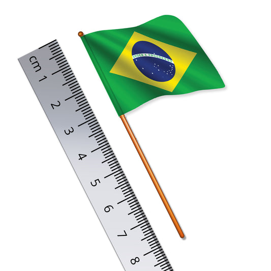 Brazilian Flag (National Flag of Brazil)