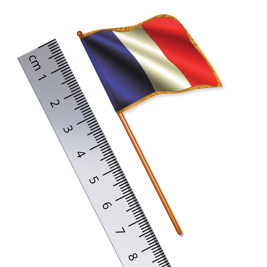French Tricolore Flag with 'gold' trim (National Flag of France)