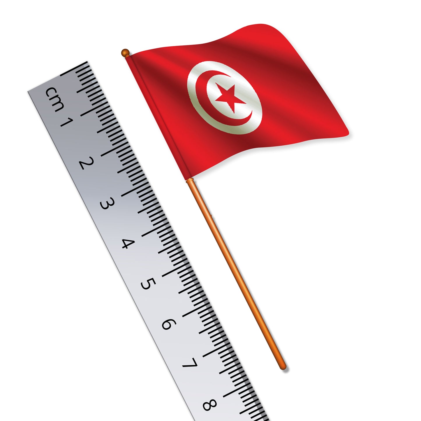 Tunisian Flag (National Flag of Tunisia)